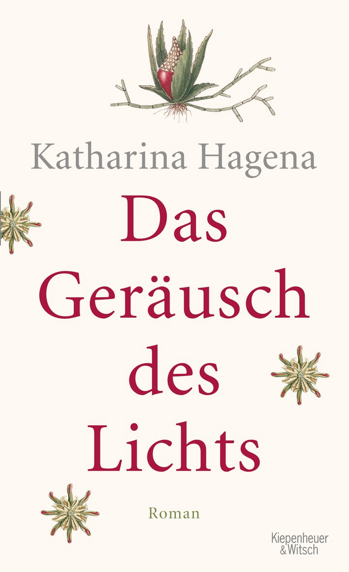 Das Geräusch des Lichts (Roman)