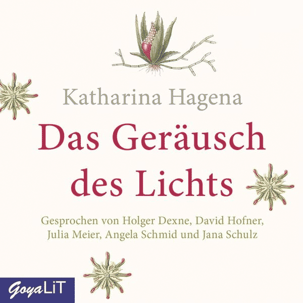 Hörbuch: Da Geräuch des Lichts